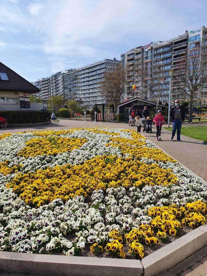 Apartament Sun And Fun Blankenberge Zewnętrze zdjęcie